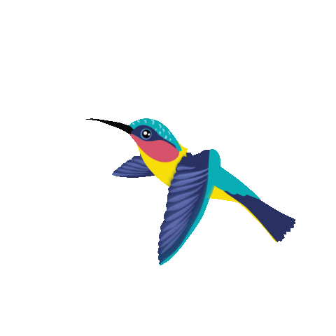 gif of bird
